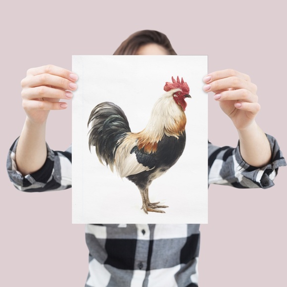 Watercolor Rooster Portrait Wall Art Print Poster, Unframed - Bird Illustration - Picture 4 of 6